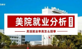 美院灵活就业率过半=就业不好？从经济学看待这个问题