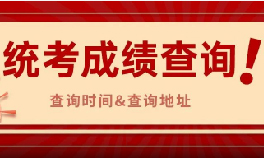 2026美术统考成绩查询方式